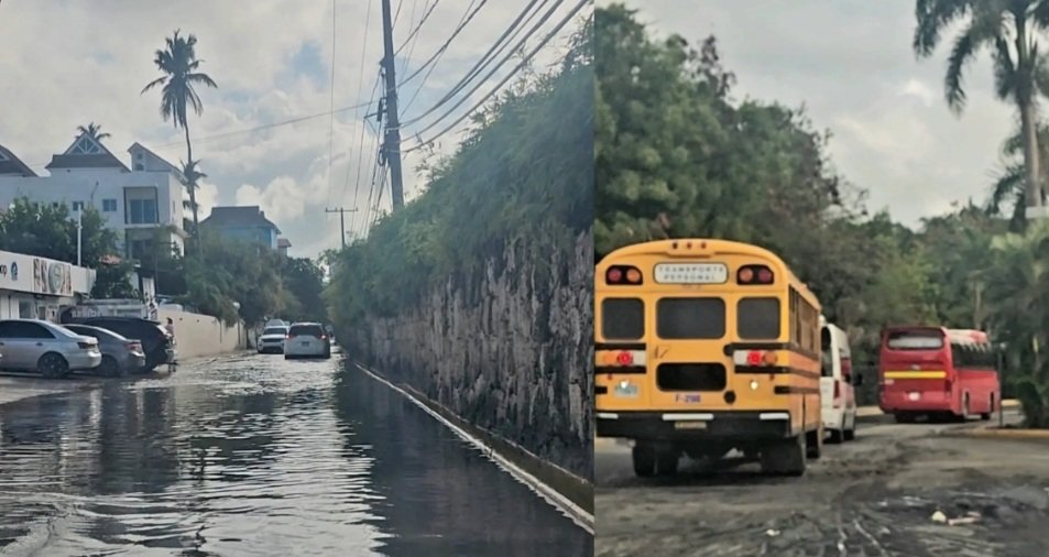 bavaro_digital's tweet image. #Locales| (VIDEO): Punta Cana recibe la Semana Santa con la imagen más deplorable de su historia

#BavaroDigital 

 wp.me/p7YckJ-H3q