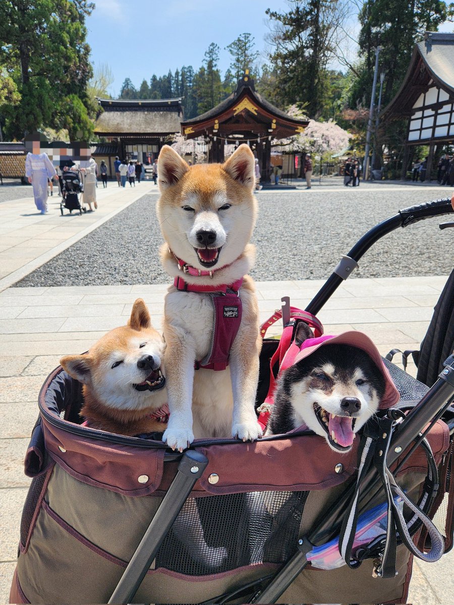 KEIKO tweet media