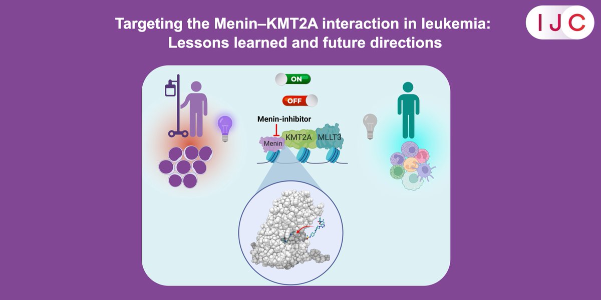 International Journal of Cancer (@intjcanc) on Twitter photo NOW ONLINE!
This review explains how targeting the KMT2A gene, a key driver in aggressive #Leukemias, with Menin inhibitors like Revumenib is showing promise. Also presented as a talk at the IJC Symposium on 14-Jan by <a href="/florian_perner/">Florian Perner</a>
🔓➡️ doi.org/10.1002/ijc.35…
<a href="/uicc/">Union for International #CancerControl</a> NOW ONLINE!
This review explains how targeting the KMT2A gene, a key driver in aggressive #Leukemias, with Menin inhibitors like Revumenib is showing promise. Also presented as a talk at the IJC Symposium on 14-Jan by <a href="/florian_perner/">Florian Perner</a>
🔓➡️ doi.org/10.1002/ijc.35…
<a href="/uicc/">Union for International #CancerControl</a>