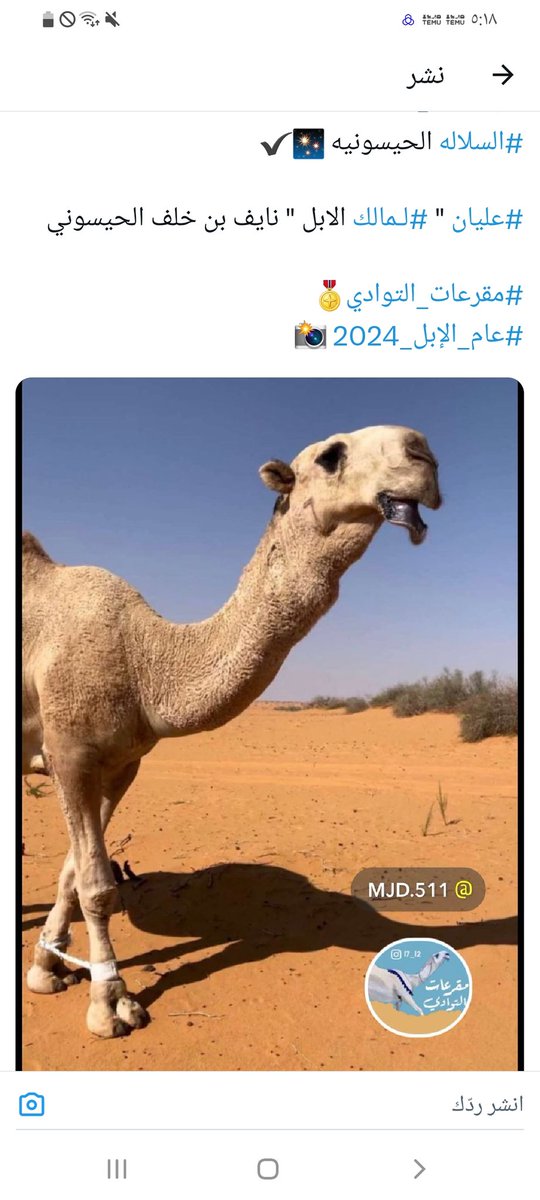إستشارات في عالم الإبل (@apell_com) on Twitter photo نبي رقم راعي المبروك هذا لاهنتوا
( التواصل خاص ) نبي رقم راعي المبروك هذا لاهنتوا
( التواصل خاص )