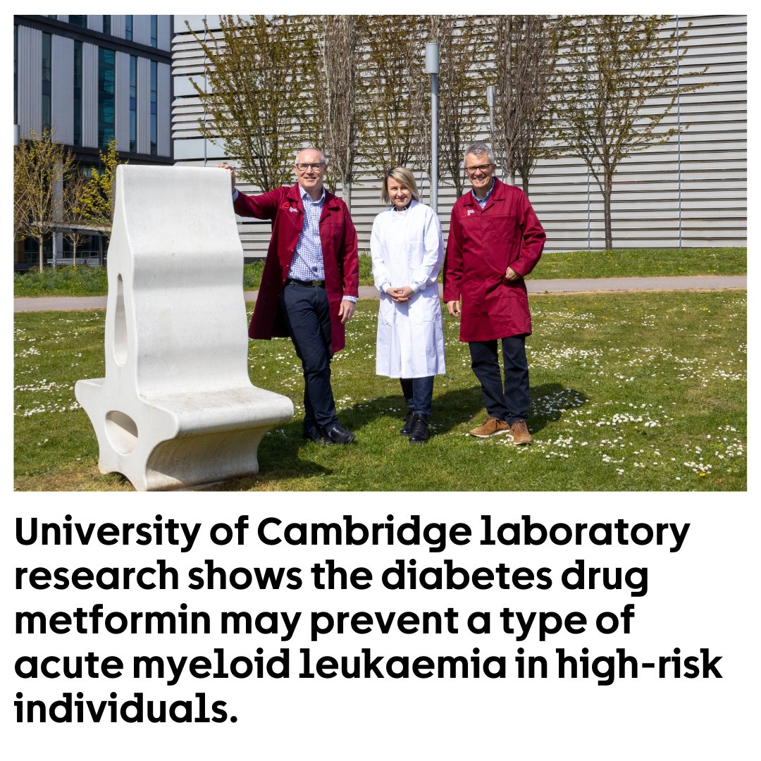 CRUK Cambridge Centre (@crukcamcentre) on Twitter photo Promising lab research led by Profs Huntly & Vassiliou <a href="/SCICambridge/">Cambridge Stem Cell Institute</a> shows diabetes drug could prevent a type of aggressive blood cancer. Next step is clinical trials in people at risk.
Funded by <a href="/bloodcancer_uk/">Blood Cancer UK</a> <a href="/CRUKresearch/">Science and Innovation at Cancer Research UK</a> <a href="/LLSusa/">The Leukemia & Lymphoma Society</a> <a href="/wellcometrust/">Wellcome</a>
➡️ crukcambridgecentre.org.uk/news/lab-resea… Promising lab research led by Profs Huntly & Vassiliou <a href="/SCICambridge/">Cambridge Stem Cell Institute</a> shows diabetes drug could prevent a type of aggressive blood cancer. Next step is clinical trials in people at risk.
Funded by <a href="/bloodcancer_uk/">Blood Cancer UK</a> <a href="/CRUKresearch/">Science and Innovation at Cancer Research UK</a> <a href="/LLSusa/">The Leukemia & Lymphoma Society</a> <a href="/wellcometrust/">Wellcome</a>
➡️ crukcambridgecentre.org.uk/news/lab-resea…