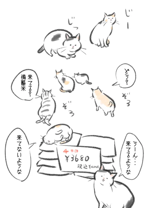 来てるような気もする猫たち。 