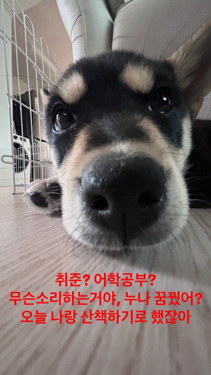 통통이 (@tongtong2__) on Twitter photo 