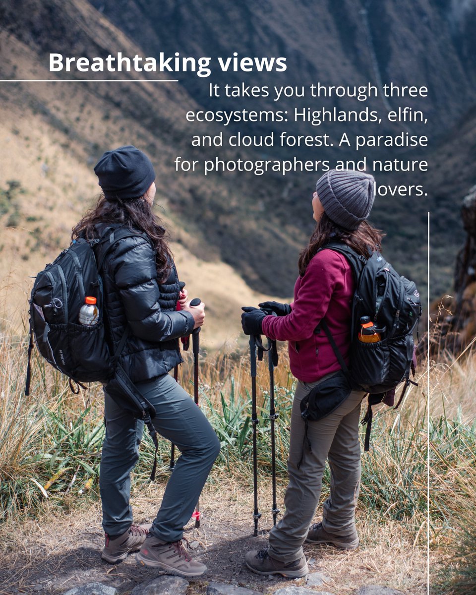 NatventureEx's tweet photo. Hiking the Inca Trail is a transformative experience.📷 #Travel #Peru #natventurexpeditions #AdventureTime https://t.co/FFOsa3GlMR