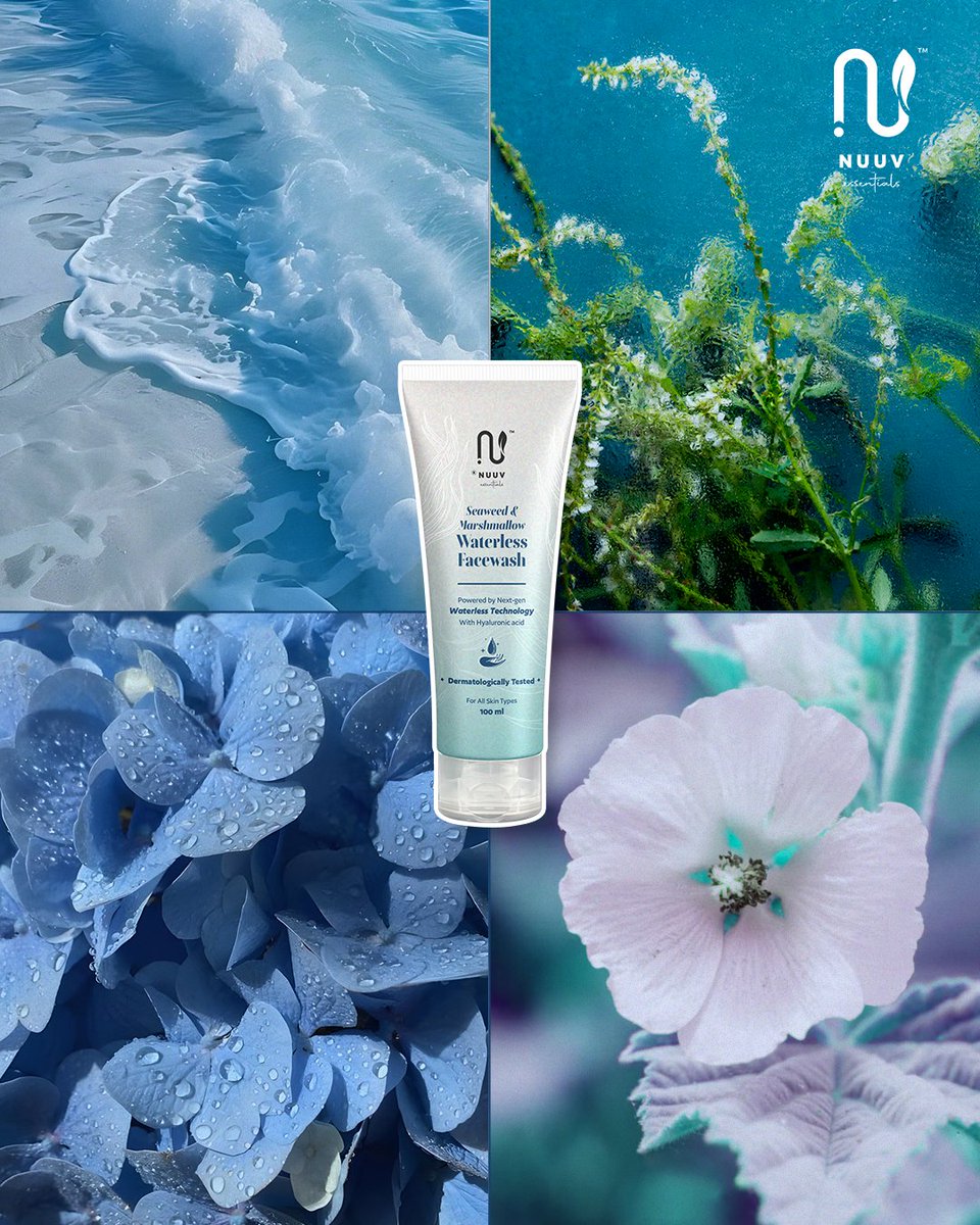 NuuvEssentials's tweet photo. Pick your skincare aesthetic vibe and step into your glow. ✨
Will you go for the Waterless Wonder, Nature's Calm, or the Hydration Hero?
Drop your favourite in the comments ⬇️ and let’s vibe together 💚 
                        
#NuuvEssentials #PickYourGlow https://t.co/T6PV1j9jAx