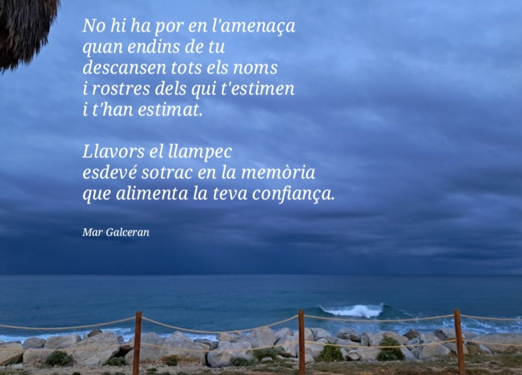 Mar Galceran (@margalceran1) on Twitter photo 