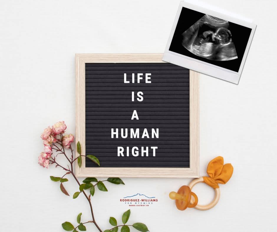 RepRachelRW's tweet photo. Join me in praying for the Wyoming Supreme Court Justices today as they hear the "Life is A Human Right Act".
#LifeIsAHumanRight #AbortionIsNotHealthcare https://t.co/AlsgUYmIvn