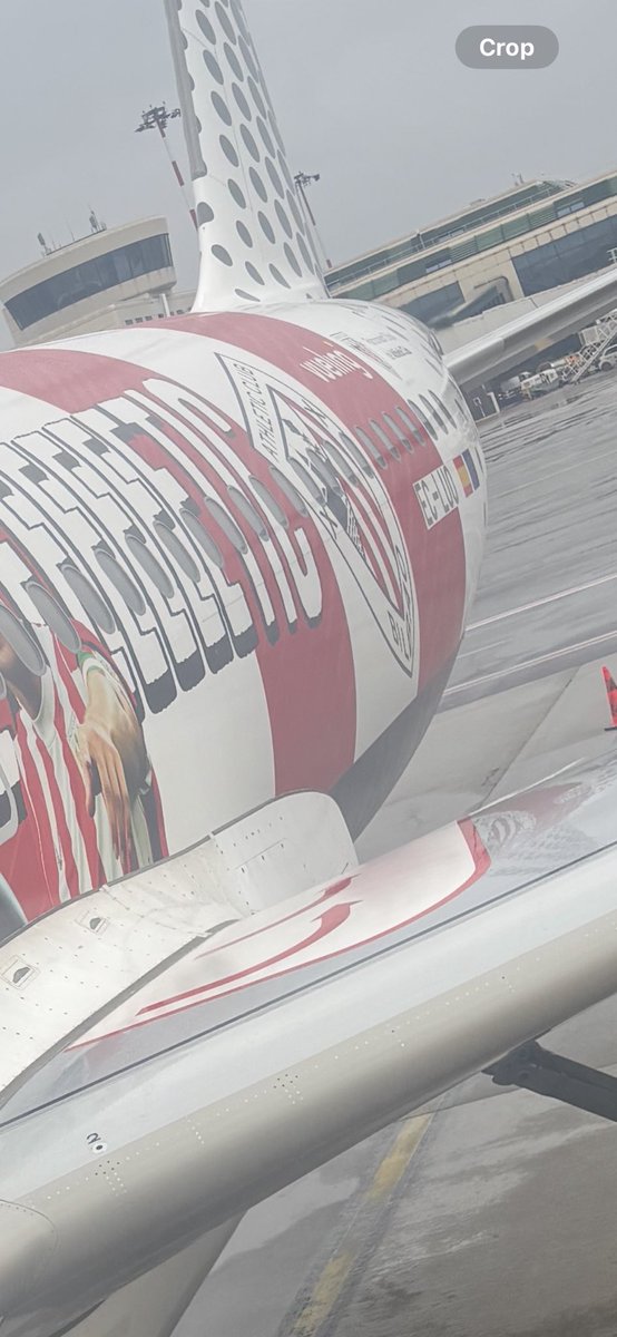 Dylan Jackson tweet media