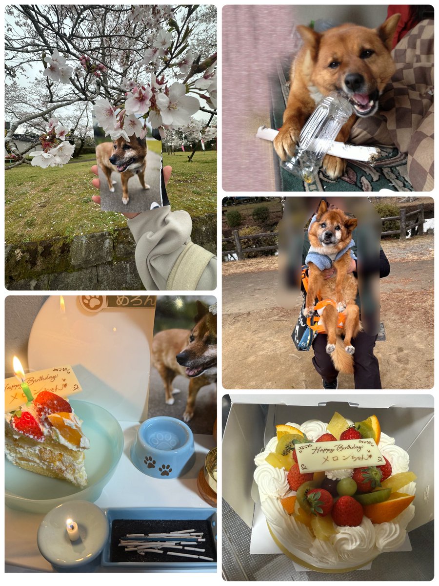 ゆーき tweet media