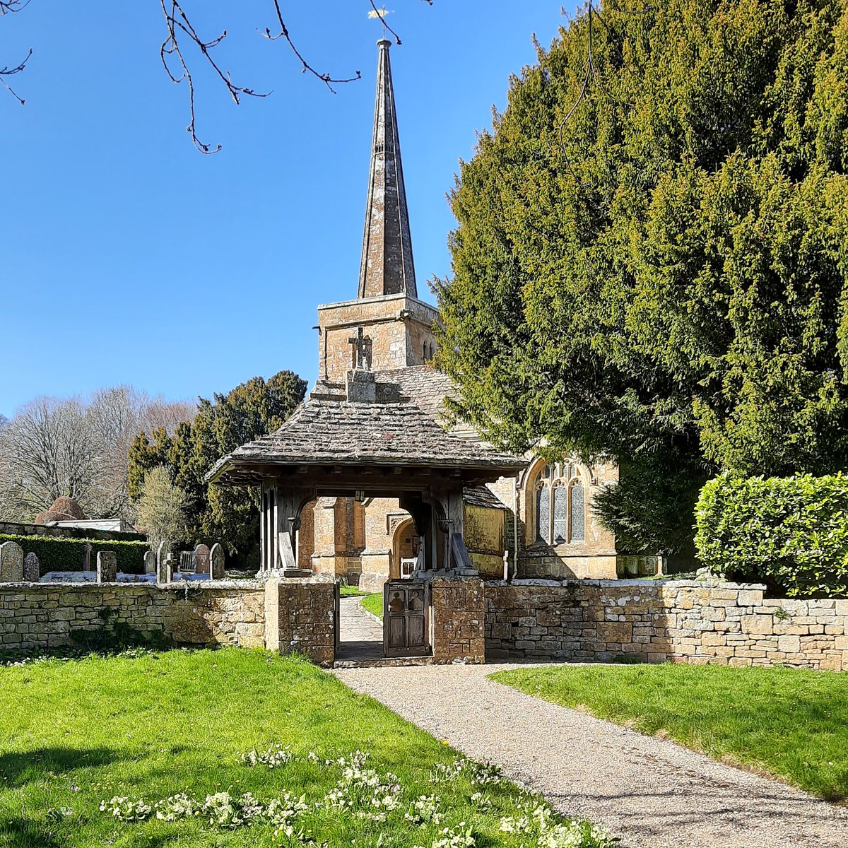Sherborne Chamber Choir tweet media
