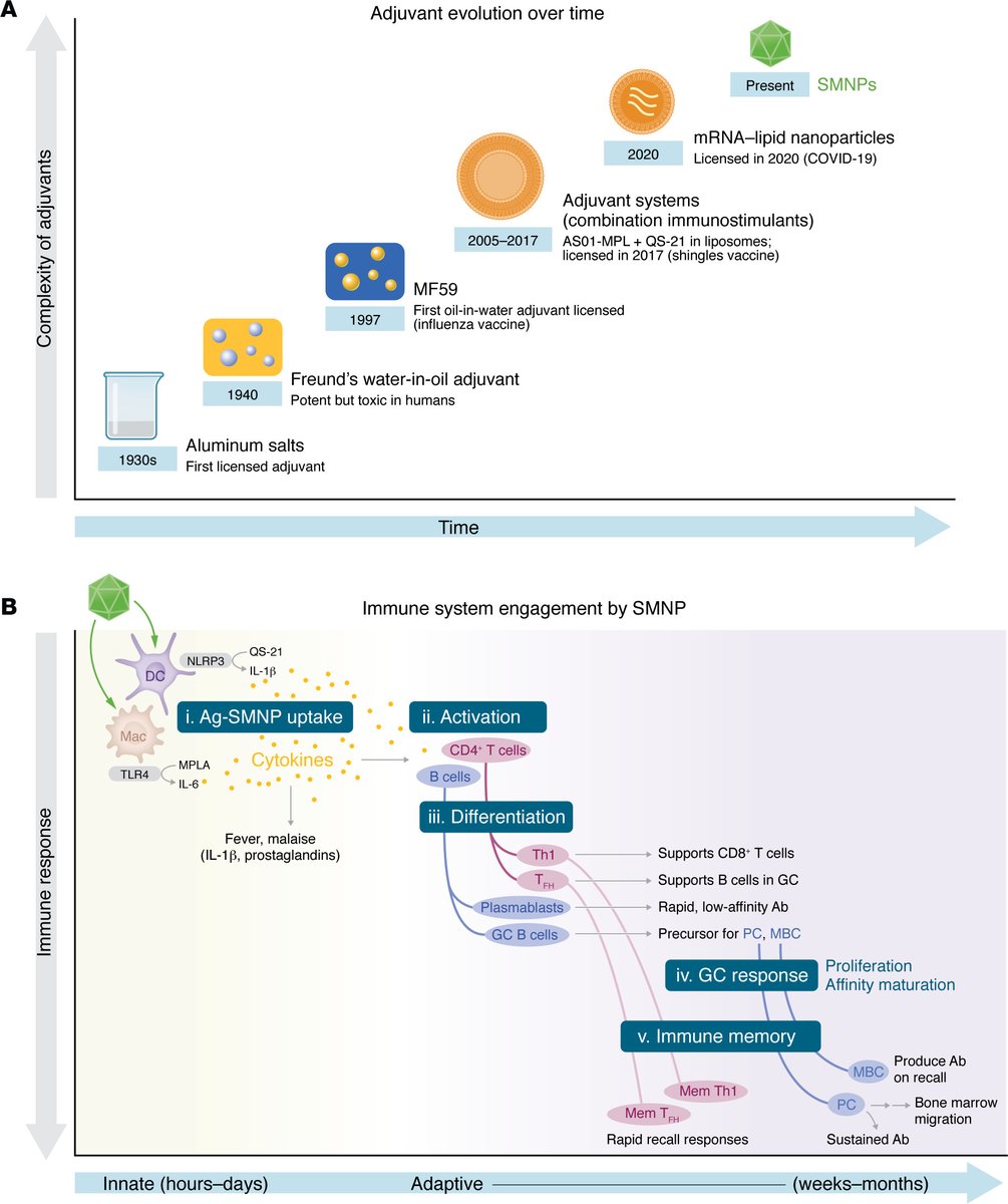 Journal of Clinical Investigation (@jclinicalinvest) on Twitter photo Transient pain and long-term gain: Adjuvant dose directs immune memory: jci.org/articles/view/…
Pabitra B. Pal & Smita S. Iyer <a href="/PittTweet/">University of Pittsburgh</a> provide a Commentary on Parham Ramezani-Rad et al. (jci.org/articles/view/…) Transient pain and long-term gain: Adjuvant dose directs immune memory: jci.org/articles/view/…
Pabitra B. Pal & Smita S. Iyer <a href="/PittTweet/">University of Pittsburgh</a> provide a Commentary on Parham Ramezani-Rad et al. (jci.org/articles/view/…)