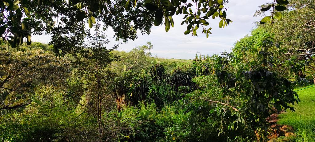 EdwinMburu13's tweet photo. My view https://t.co/HYwmjc25uv