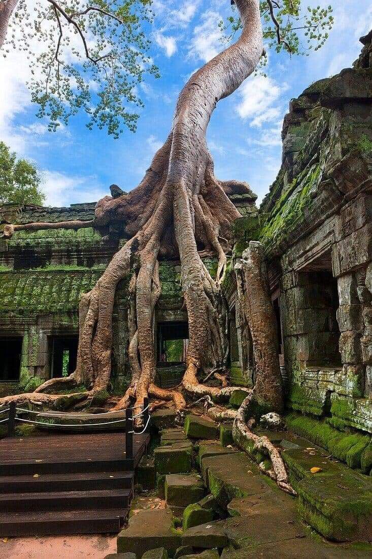 davidpladel's tweet photo. Hilo de los lugares más misteriosos de la Tierra 🧵

1. Templos de Angkor, Camboya 🇰🇭 https://t.co/wrDS9s8KFF