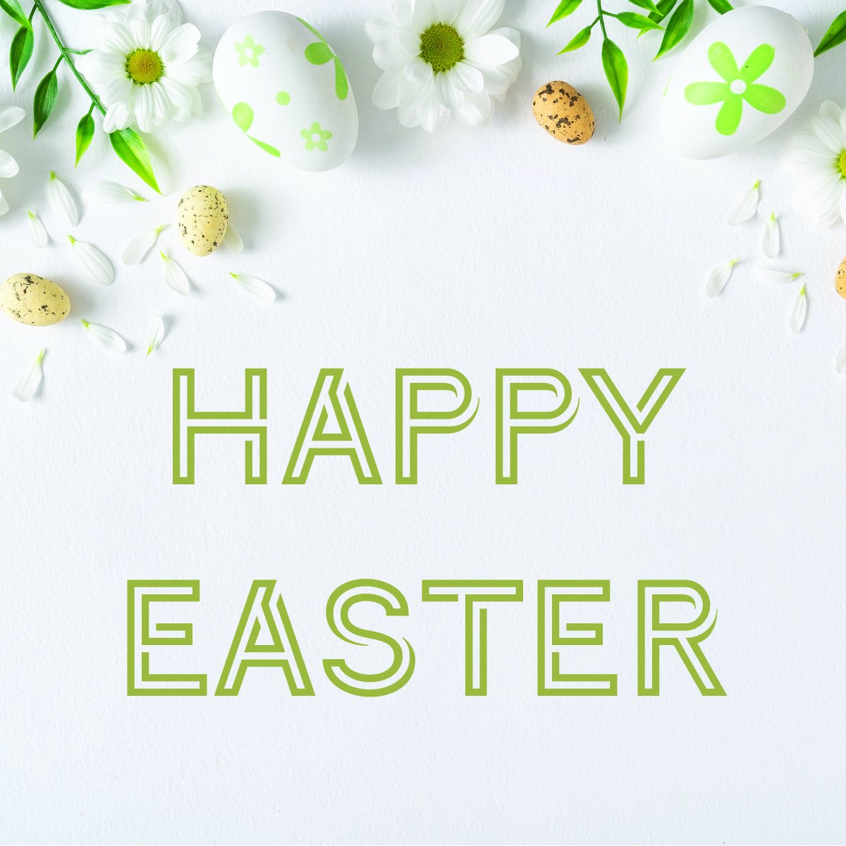 🌷🐰
Our offices will be closed Friday April 18th 2025.

#happyeaster #goodfriday #easterbunny #eastersunday