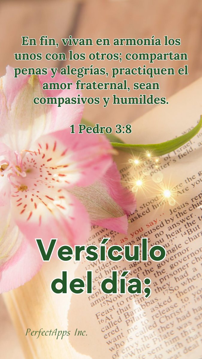 Ismar González (@ismargonzl29230) on Twitter photo 