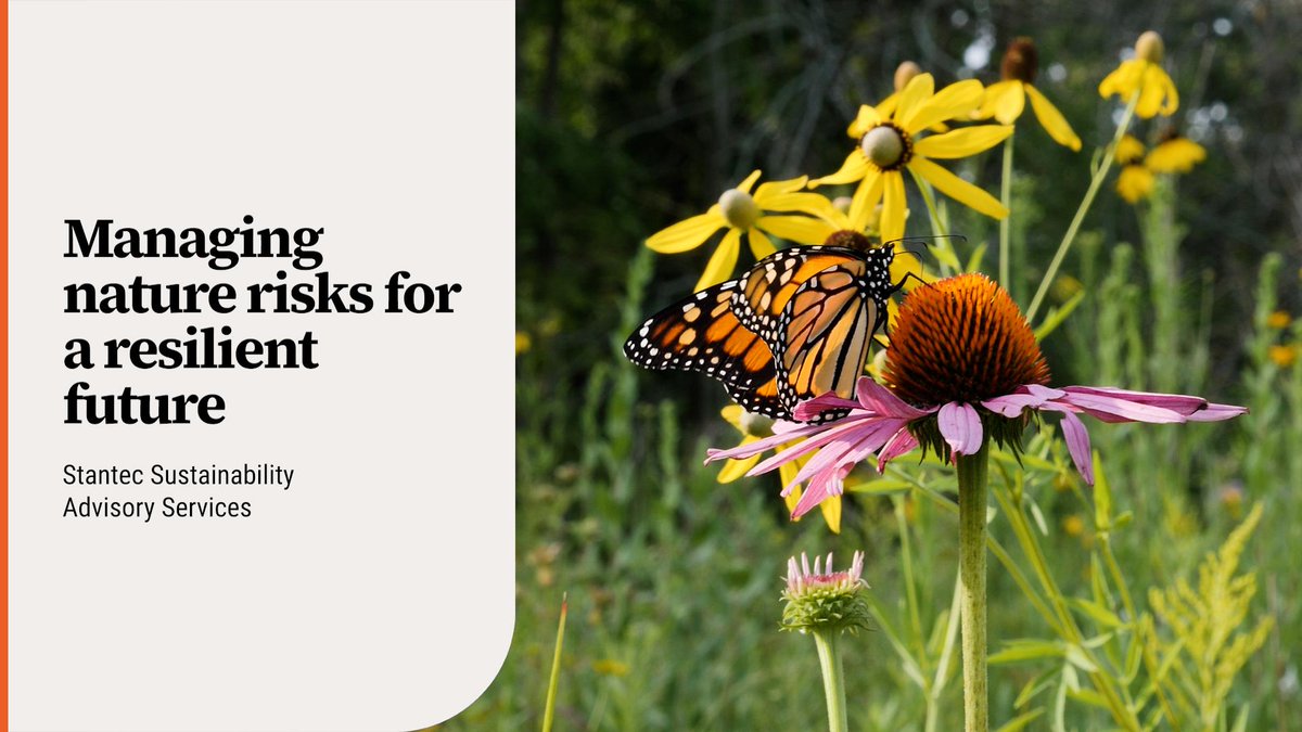 Nancy MacDonald tweet media