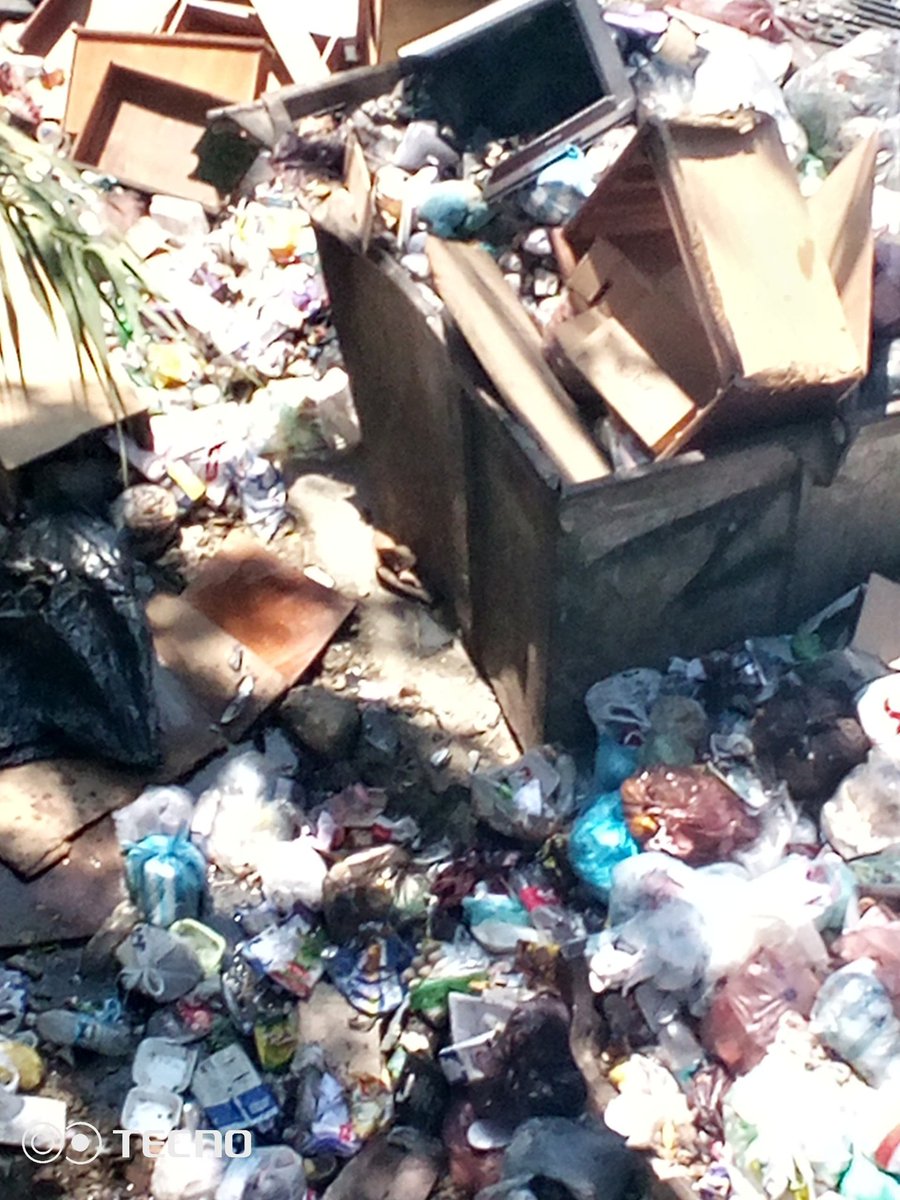 marihernis tweet media