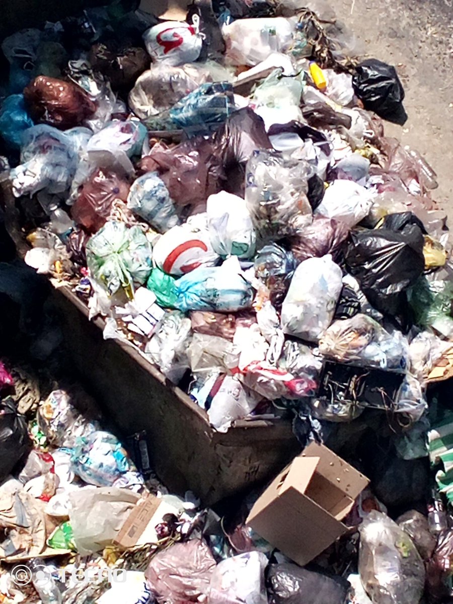 marihernis tweet media