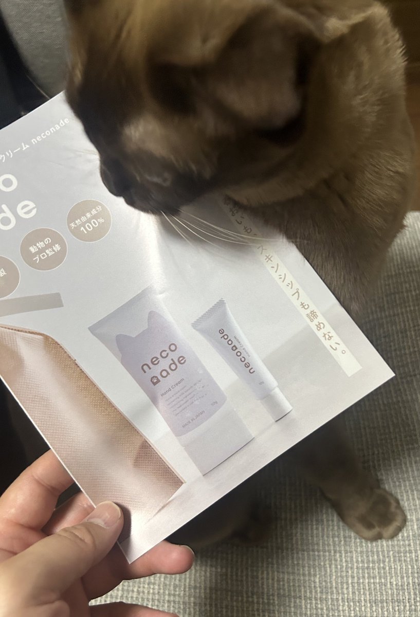 daisuke_coffee's tweet photo. 猫にもやさしいハンドクリーム　neconade（ねこなで）の試供品取り寄せてみた‼️🐈☁️ https://t.co/lN9CUyXDCZ