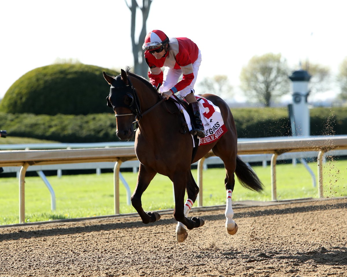 Equibase (@equibase) on Twitter photo Huge congratulations to BRIAN HERNANDEZ JR on earning the <a href="/JockeysGuild/">Jockeys'Guild</a> Jockey of the Week 4/7-4/13!! 🏆👏
<a href="/b_hernandezjr/">Brian Hernandez</a> took 7 trips to the winner's circle last week, winning at a 21% clip with an incredible $2,028,414 in earnings.
2 of his 7 wins were in G1 races, winning Huge congratulations to BRIAN HERNANDEZ JR on earning the <a href="/JockeysGuild/">Jockeys'Guild</a> Jockey of the Week 4/7-4/13!! 🏆👏
<a href="/b_hernandezjr/">Brian Hernandez</a> took 7 trips to the winner's circle last week, winning at a 21% clip with an incredible $2,028,414 in earnings.
2 of his 7 wins were in G1 races, winning