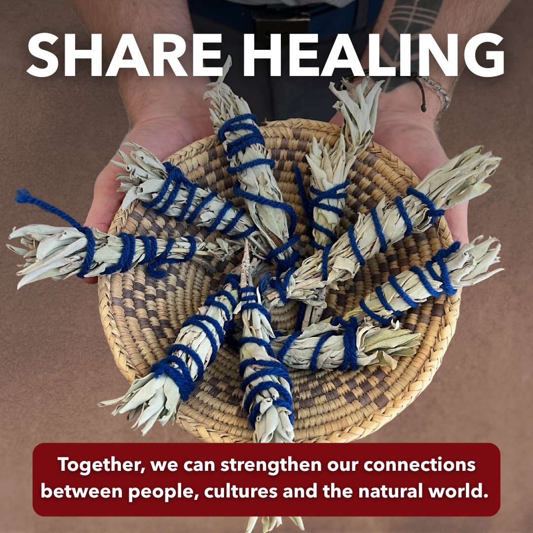 Association on American Indian Affairs tweet media