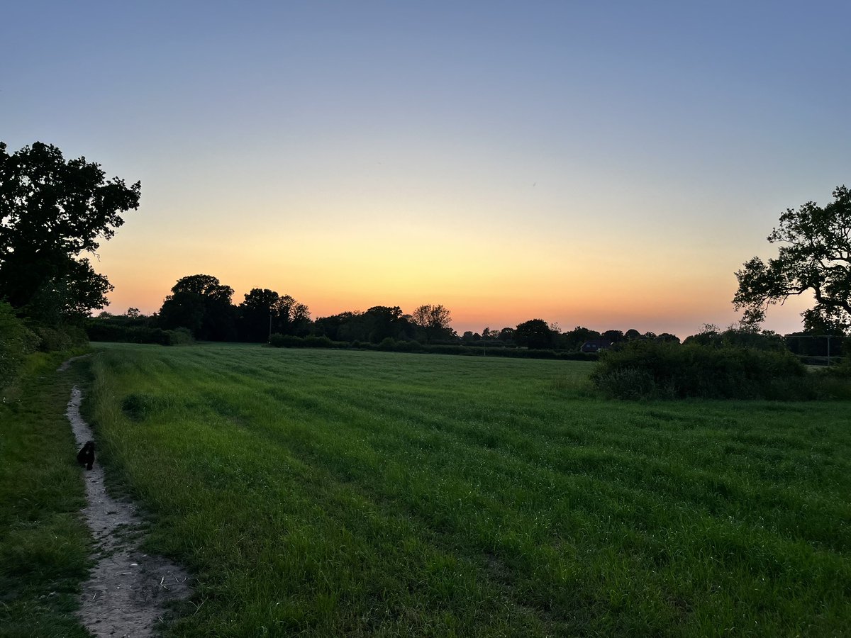 David Acford tweet media