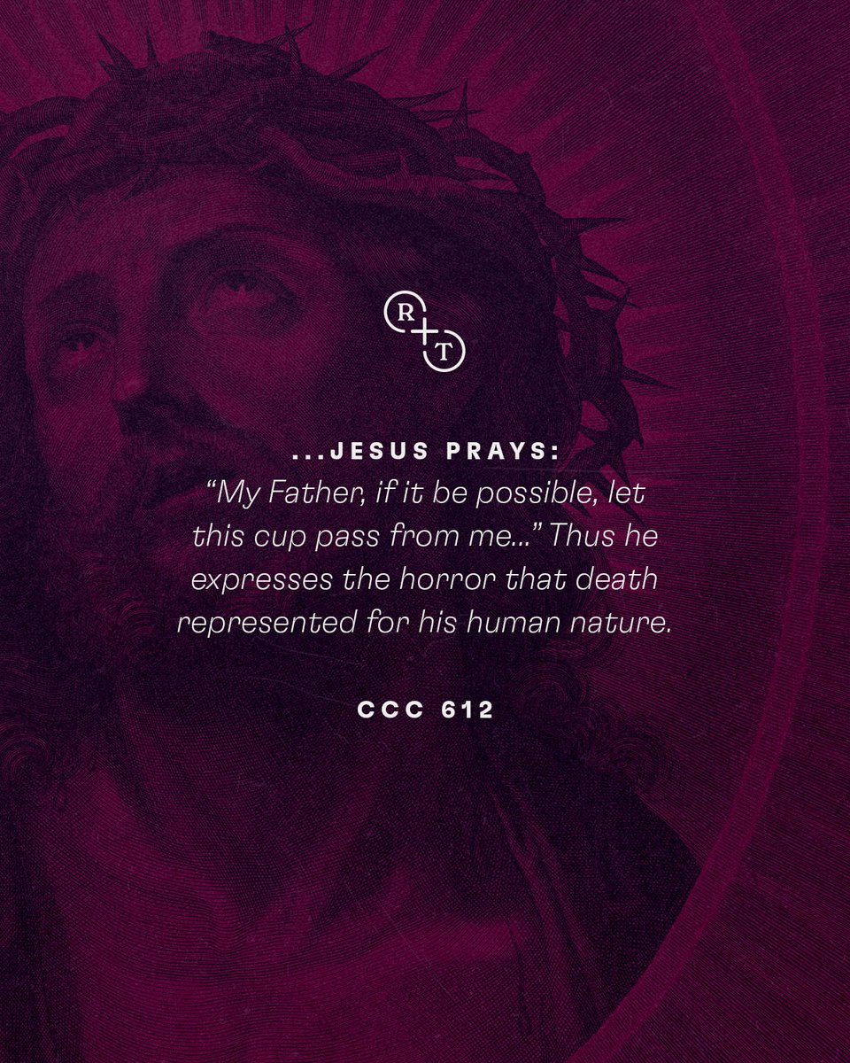 realplustrue's tweet photo. By aligning His human will with the Father's, Jesus accepts His death as redemptive for the sins of humanity. May we await His Resurrection with hearts full of fervent hope.
#Jesus #GoofFriday #crucifixion #catechism #realplustrue https://t.co/rOMEu1nJdp