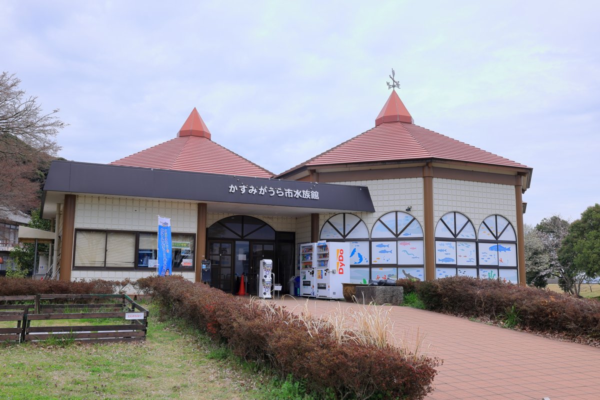 welcomeMoonside's tweet photo. #かすみがうら市水族館 #水族館 https://t.co/wYyGQRej3o