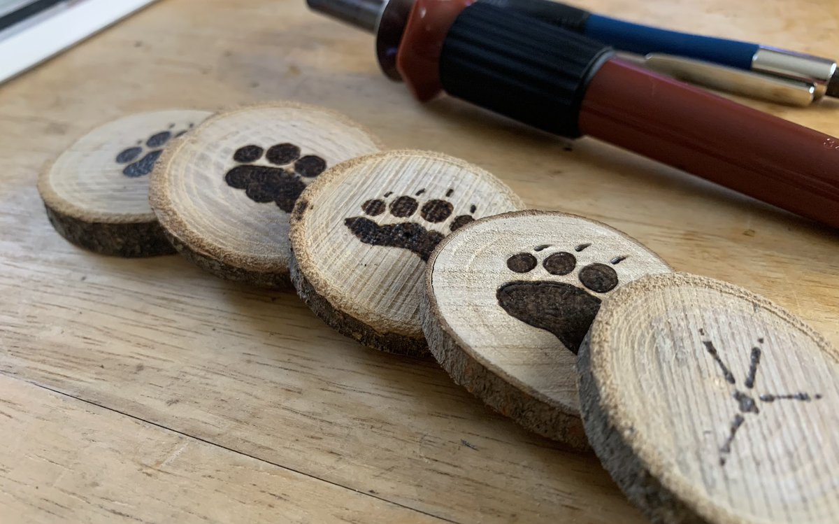 labradorszn's tweet image. Soon… ☀️