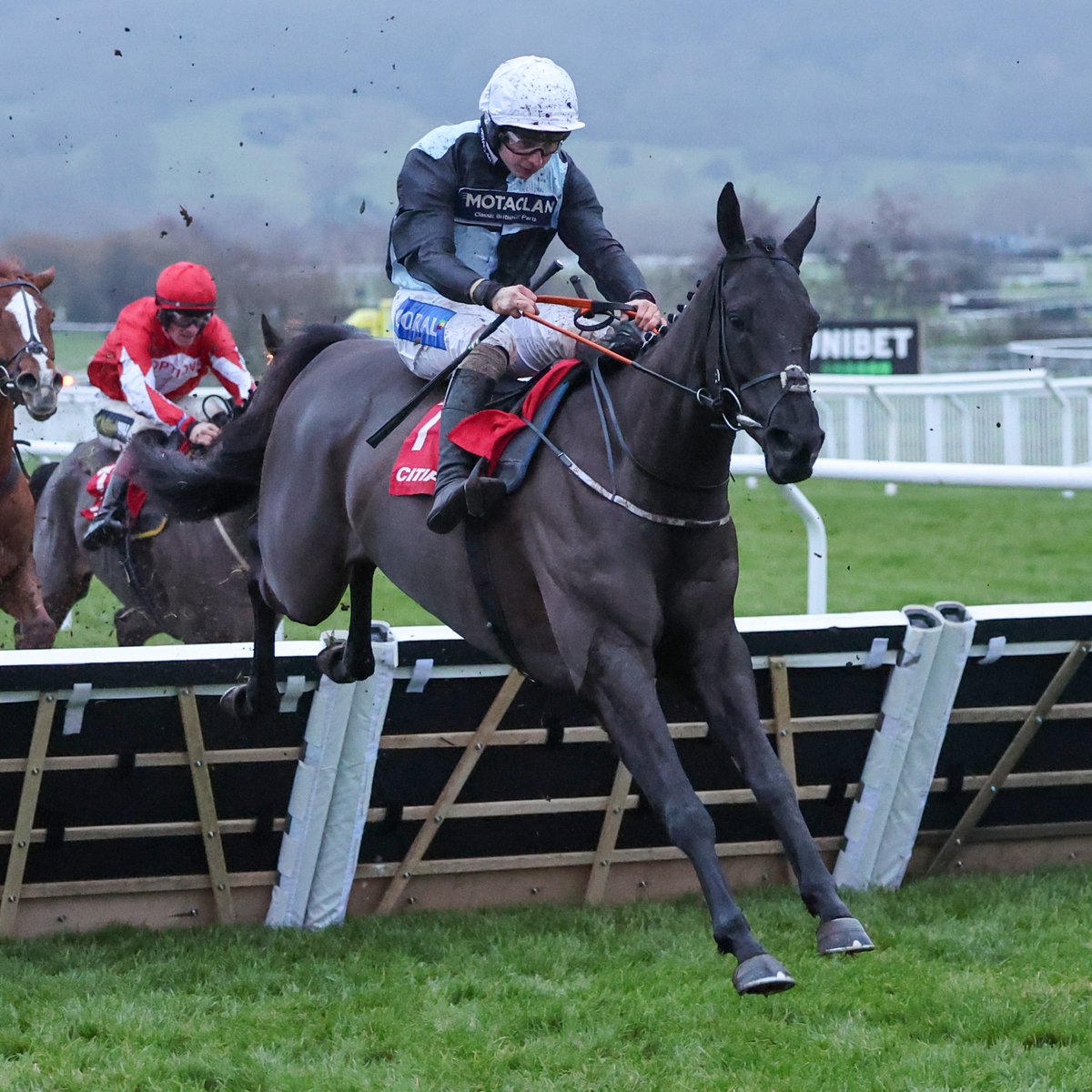 LONG DRAW wins the Safran Landing Systems Handicap Hurdle at Cheltenham 👏