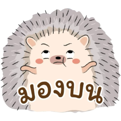 junonfriendlois's tweet photo. https://t.co/BpwLklbs6M