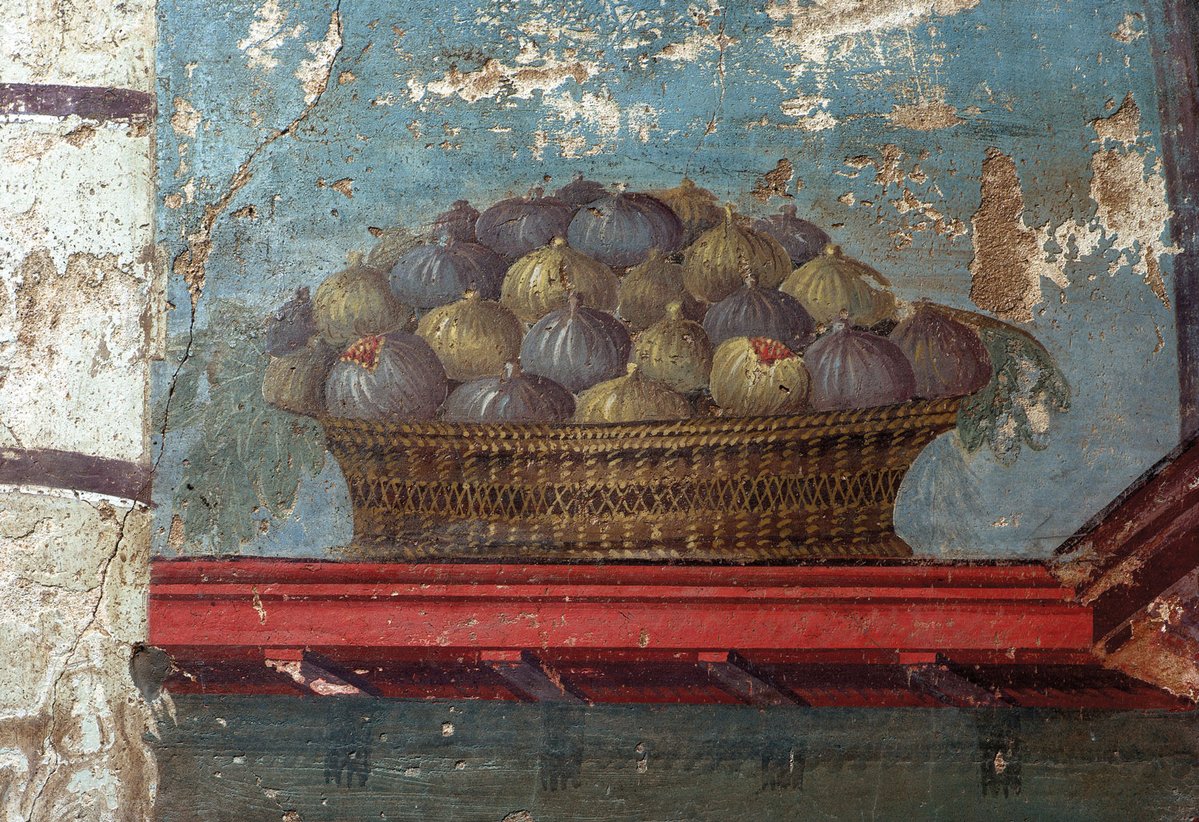 archaeologymag's tweet image. Alongside the discovery of some food staples of Roman Britain, archaeologists at the Irish site of Drumanagh have discovered a 2,000-year-old burned fig that provides evidence of the presence of the Roman traders on the Emerald Isle in the 1st century A.D.…