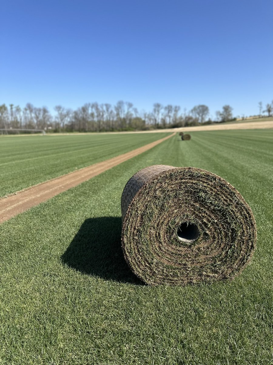 sod_gm's tweet photo. Soaking up all the gorgeous sunshine this week☀️If you need sod before Easter weekend, give us a call!! 888-SODFARM https://t.co/zATCeJ9JNn