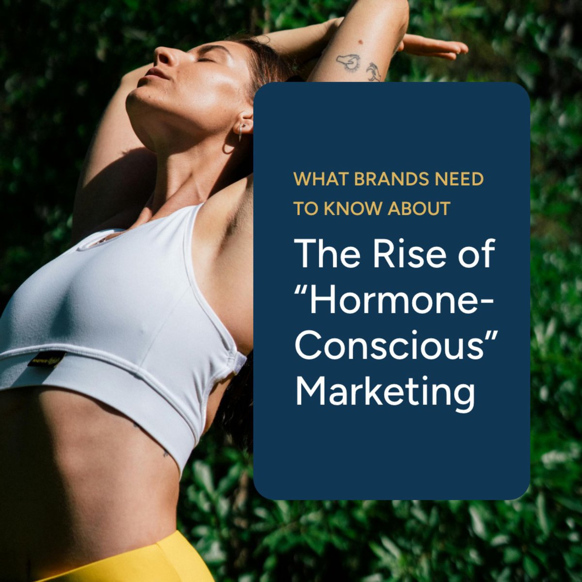 Spark Growth | Health & Wellness Growth Marketing tweet media