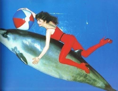 FishPeople Kate Bush (@FishPeopleFC) / X FishPeople Kate Bush (@FishPeopleFC) / X