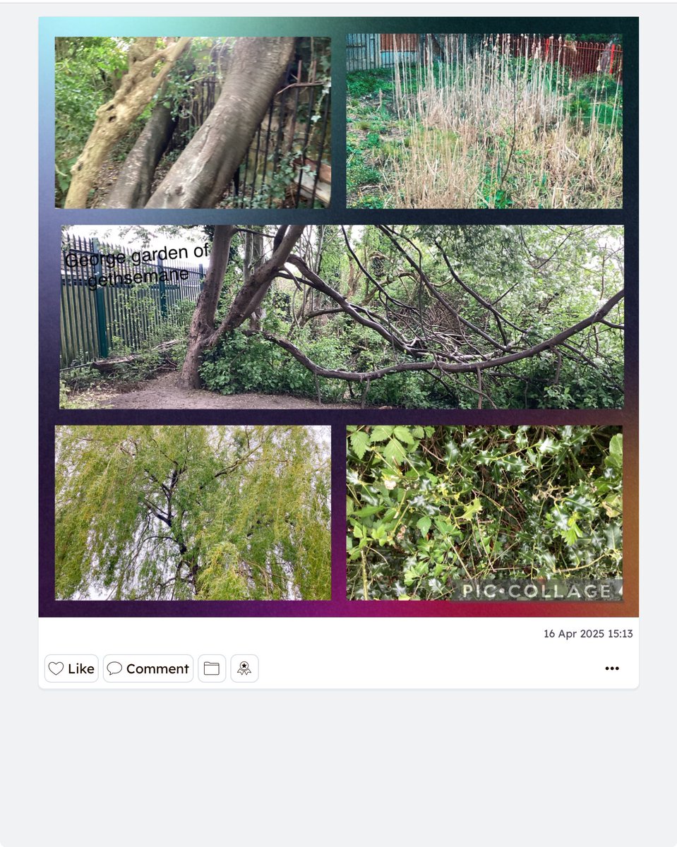 ctkrcps's tweet photo. Year 6 brought the Garden of Gethsemane to life in ICT today, using their photography and editing skills in Pic Collage and uploading it to @Seesaw. A reflective and creative way to explore this powerful moment in Jesus’ journey. 🌿📸💻 #CreativeRE @RCSalfordEd @ICT_MrP https://t.co/CIbpVXvM5J