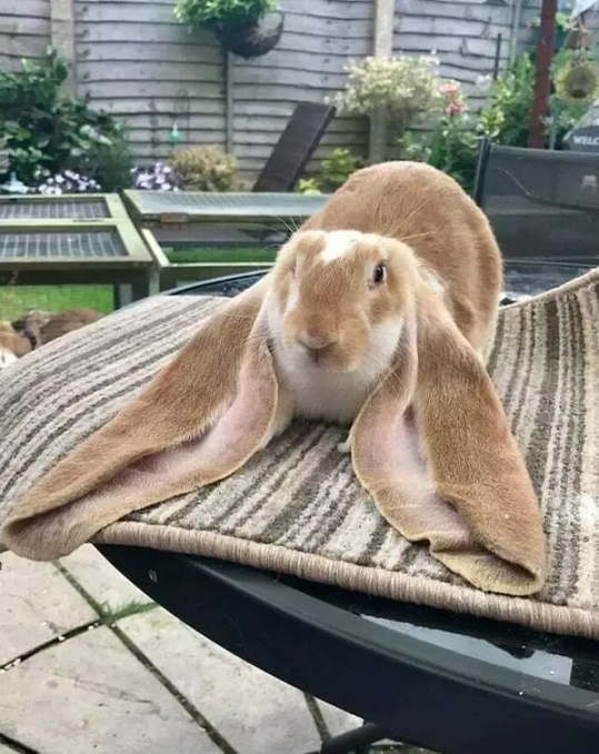 oh haha very funny,, "have you heard",,
WHAT DO YOU THINK