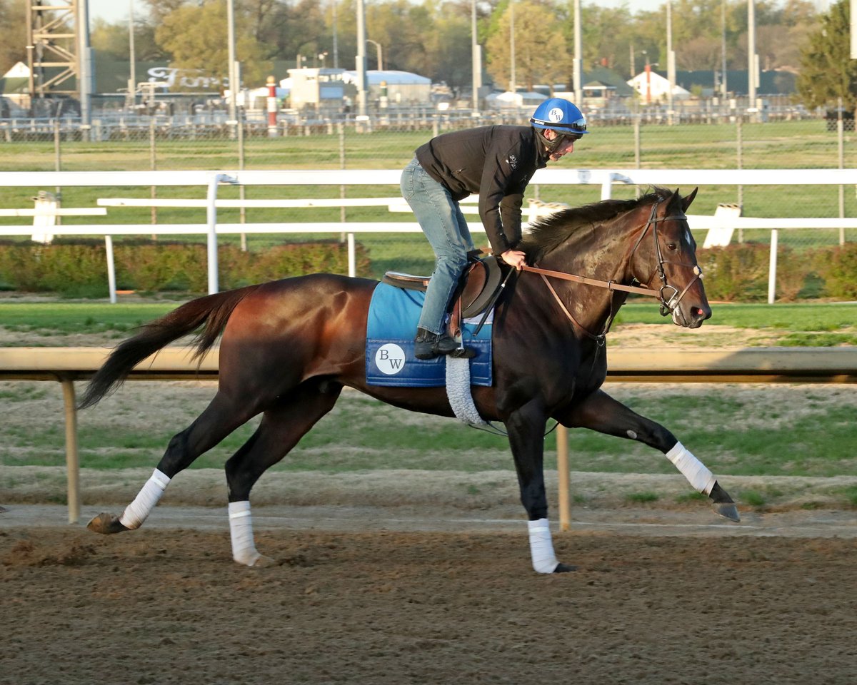 HorseRacingKK's tweet photo. Recent Blue Grass Stakes runner-up East Avenue getting reacquainted with @ChurchillDowns Wednesday morning.

Trainer Brendan Walsh said he's tentatively scheduled to work Friday morning. https://t.co/0a1OjKfPvt