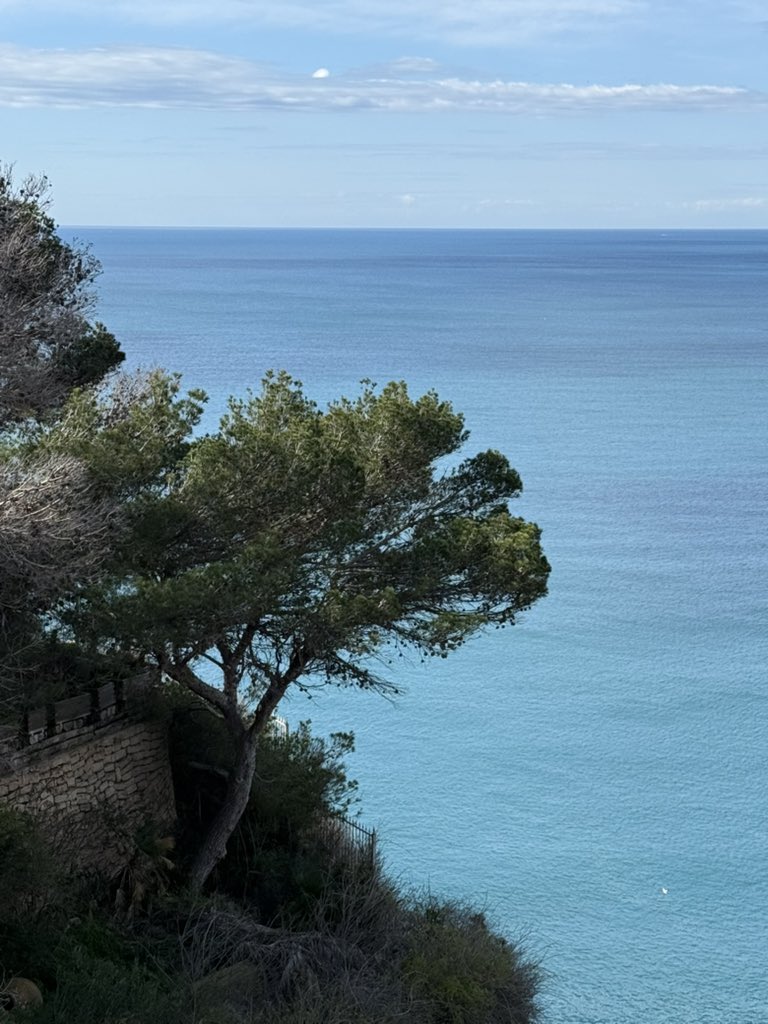 NaoChris's tweet photo. #Ambolo 
 
#CapNao  
#TeamCapNao  
#Xabia #Javea #Spain 

#NaoConsult #NaoInvest #DeniaInvest https://t.co/5JXix33NL1
