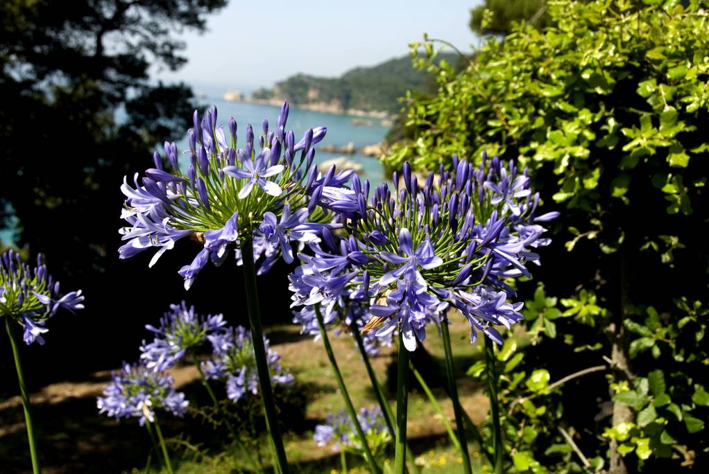 Costa Brava Pirineu de Girona tweet media