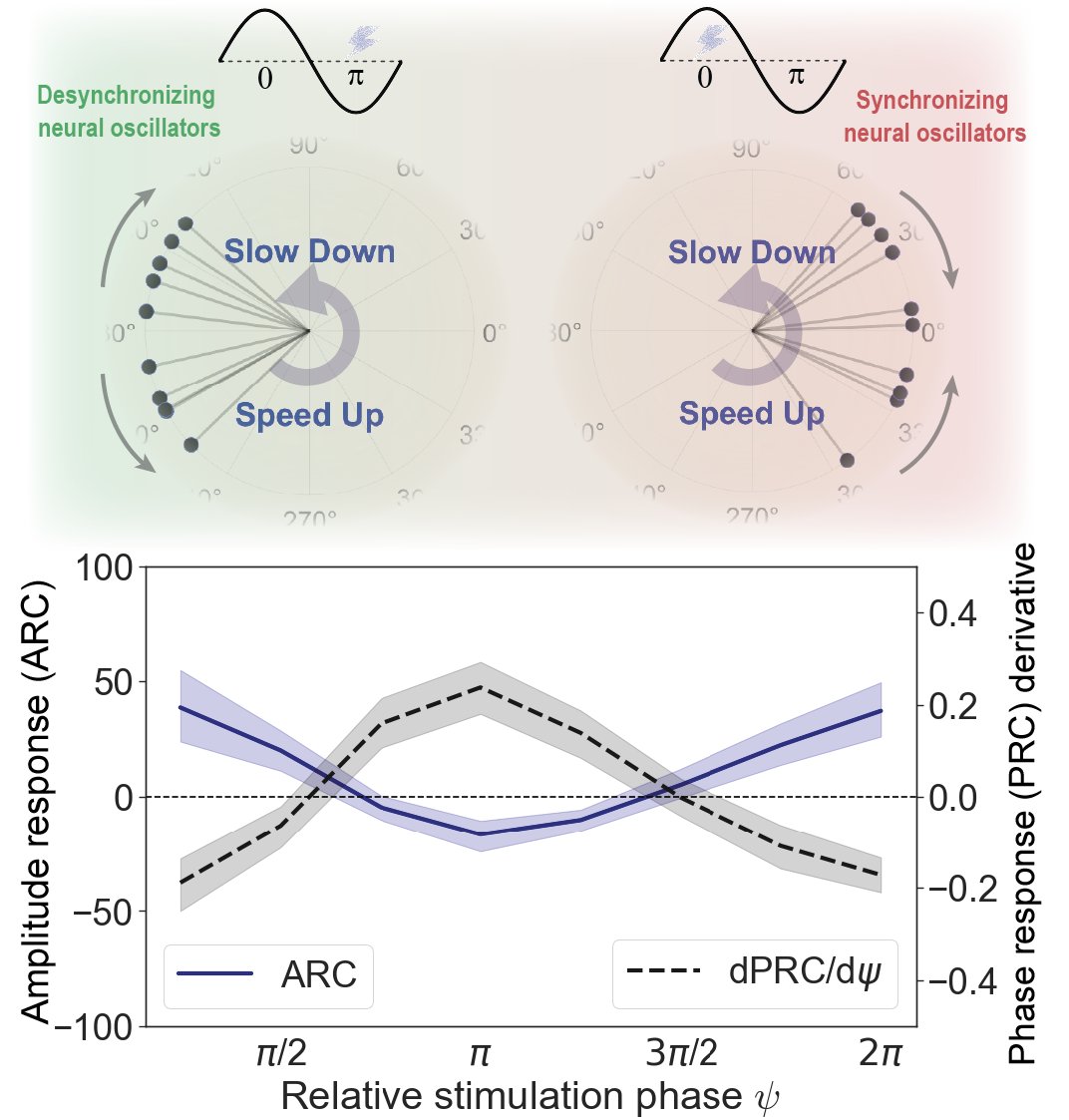 MRC BNDU, Oxford (@mrcbndu) on Twitter photo New unit paper by Mirkhani et al. on response of neuronal populations to phase-locked stimulation: model-based predictions and validation, published in #JNeurosci <a href="/SfNJournals/">SfN Journals</a>.
mrcbndu.ox.ac.uk/publications/r…
<a href="/MRCBNDU/">MRC BNDU, Oxford</a> <a href="/NDCNOxford/">Nuffield Department of Clinical Neurosciences</a> <a href="/OxfordMedSci/">Medical Sciences</a> <a href="/UniofOxford/">University of Oxford</a> New unit paper by Mirkhani et al. on response of neuronal populations to phase-locked stimulation: model-based predictions and validation, published in #JNeurosci <a href="/SfNJournals/">SfN Journals</a>.
mrcbndu.ox.ac.uk/publications/r…
<a href="/MRCBNDU/">MRC BNDU, Oxford</a> <a href="/NDCNOxford/">Nuffield Department of Clinical Neurosciences</a> <a href="/OxfordMedSci/">Medical Sciences</a> <a href="/UniofOxford/">University of Oxford</a>