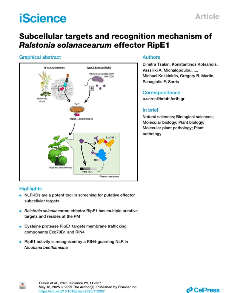Our work on RipE1 effector's function and recognition is on-line:
<a href="/FORTH_ITE/">FORTH</a> 
<a href="/UOC_gr/">Πανεπιστήμιο Κρήτης</a> 

sciencedirect.com/science/articl…