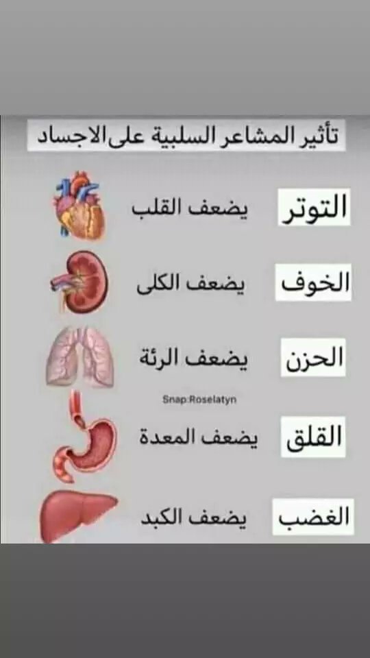 نجاة مختار (@18_0558) on Twitter photo 