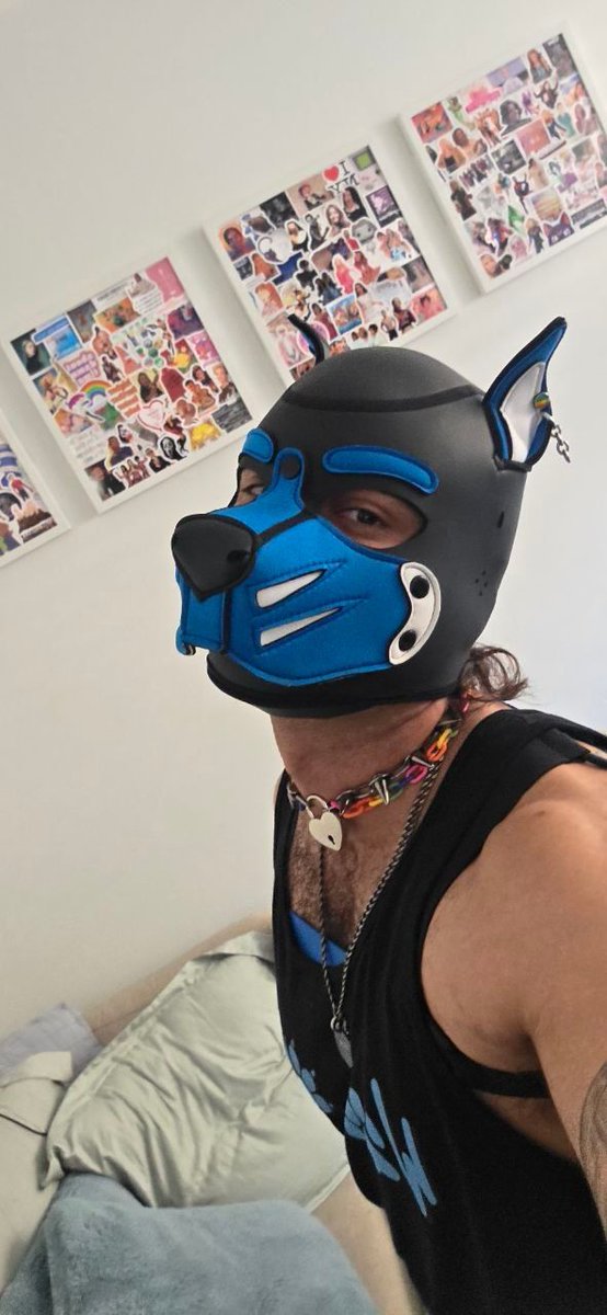 📸 @pup_vuk 

🐾 Just a good pup living my best life 🐶💙

#pup #pupplay #puppyplay #confidence #pupvibes #positivity #expressyourself