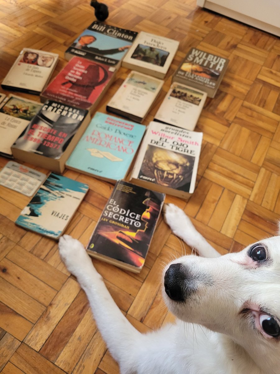 bsasperdida's tweet image. Tengo una infinidad de libros para leer pero no puedo resistir verlos tirados en la calle, buscando un nuevo hogar... ¡algunos tengo que adoptar!
Están en José Cubas y Emilio Lamarca. Todavía quedan bastantes