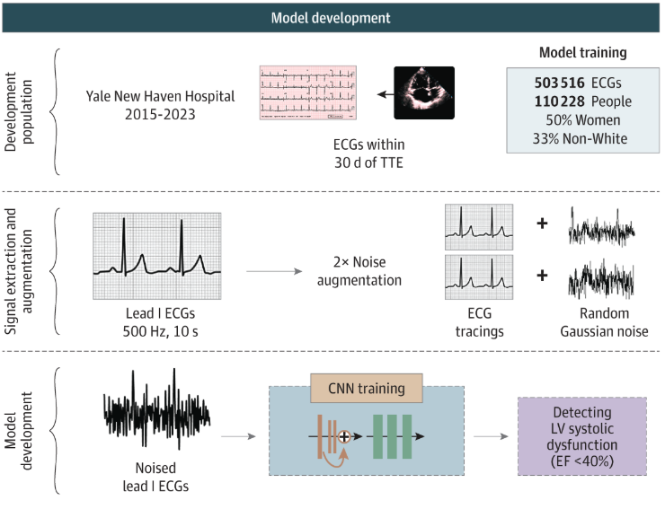 LovedeepDhingra's tweet photo. 4/n
๐งฉ Next, we applied a previously-validated AI-ECG model that was trained to detect cross-sectional LV systolic dysfunction #LVSD from lead I ECGs.
This model was trained with noise-augmented ECGs, enabling resilience to noisy acquisition seen in portable/wearable devices! https://t.co/WHQZUdAaUI