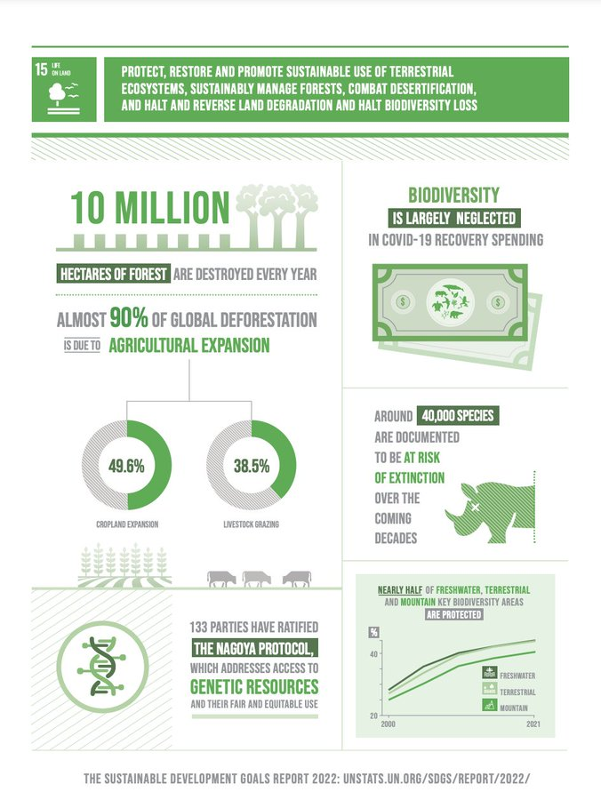 UN Biodiversity (@unbiodiversity) on Twitter photo #SDG15 focuses specifically on managing forests sustainably, halting and reversing land and natural habitat degradation, successfully combating desertification and stopping #biodiversity loss.
Learn more➡️unep.org/explore-topics…
<a href="/UNEP/">UN Environment Programme</a> #SDG15 focuses specifically on managing forests sustainably, halting and reversing land and natural habitat degradation, successfully combating desertification and stopping #biodiversity loss.
Learn more➡️unep.org/explore-topics…
<a href="/UNEP/">UN Environment Programme</a>