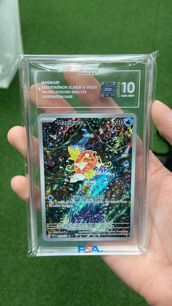 CommonGuy | TCG tweet media