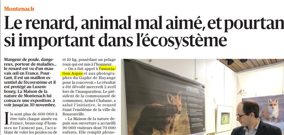 arxavben's tweet photo. Un exemple d'#entrisme de @ASPASnature, asso #animaliste militante #antichasse, auprès des collectivités locales, ici la com' com' Bouzonvillois/3Fontières (57). #CCB3F lui offre un accès discret mais direct aux scolaires qui visitent la gentille expo "#Renard".
1/2 https://t.co/b9Zw1N7uhv