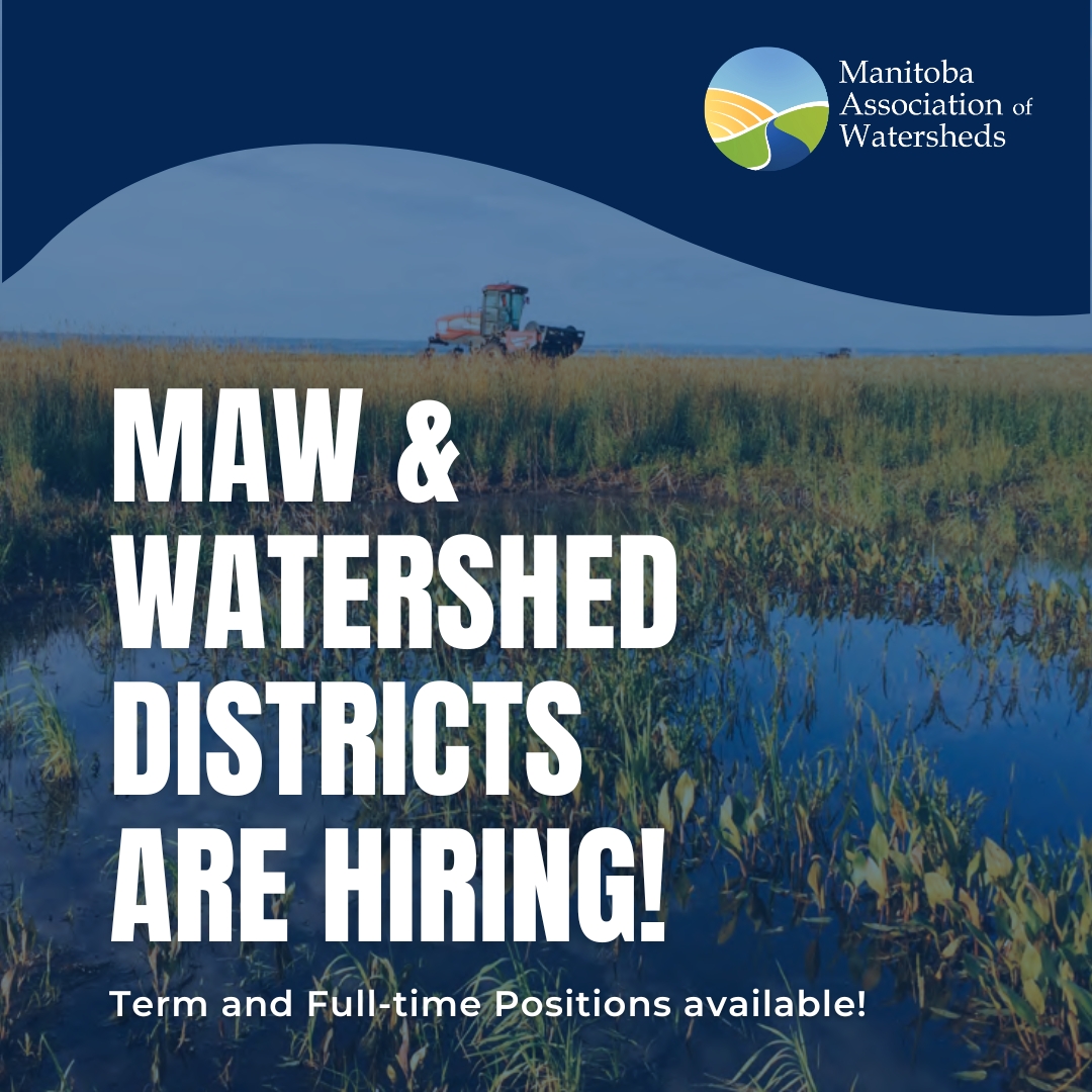 New opportunity alert! We’ve added a fresh term position to our Careers section manitobawatersheds.org/careers. Plus, Manitoba’s Watershed Districts are on the lookout for passionate people to join their teams too!

#ManitobaWatersheds #JobOpportunities #Manitobajobs #studentjobs